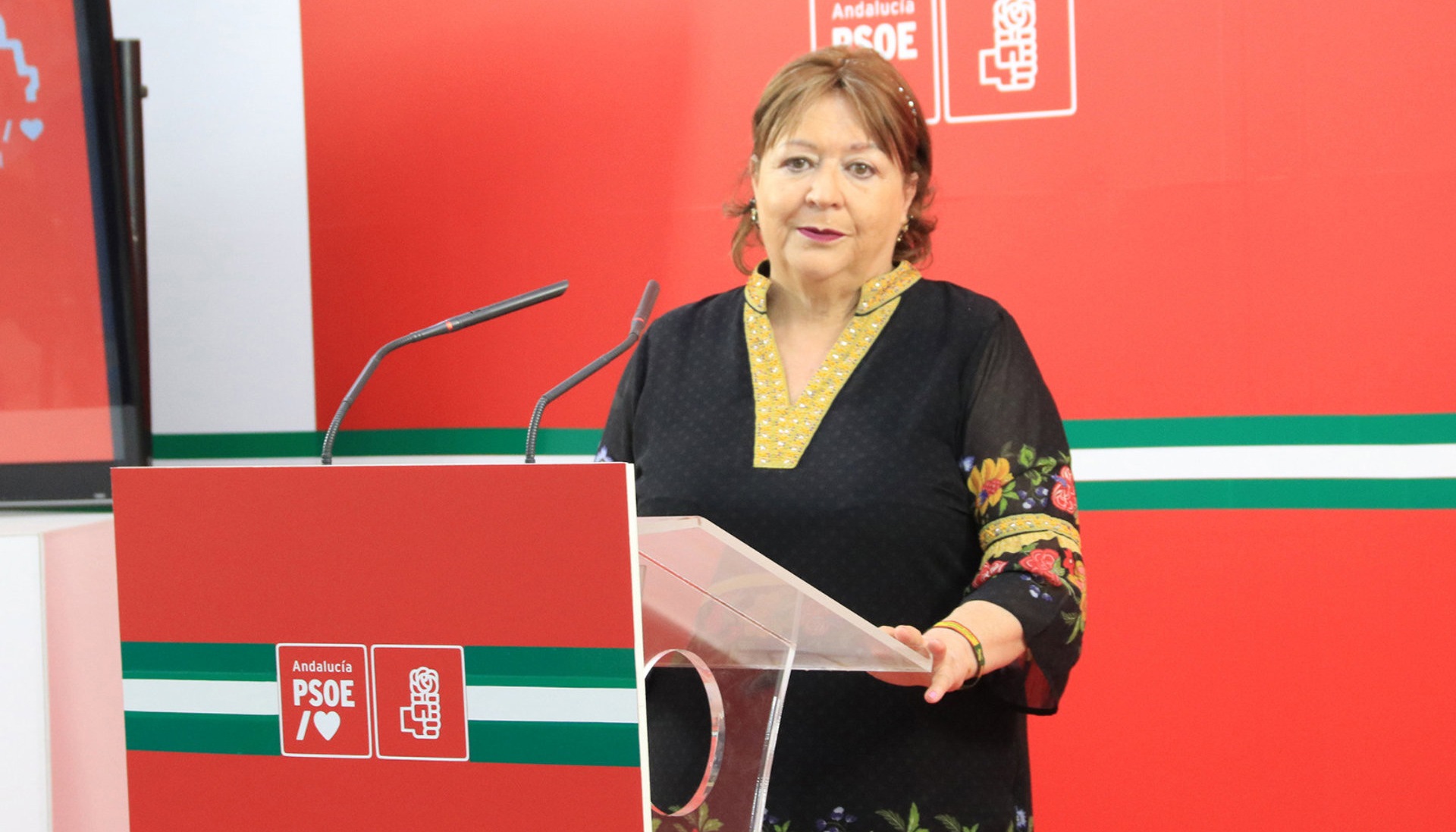 PSOE lleva a Diputación una moción para pedir a la Junta garantías en el cribado de cáncer de mama